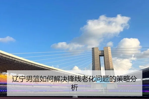 辽宁男篮如何解决锋线老化问题的策略分析
